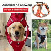 Das bequeme Hundegeschirr