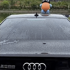 Super Absorbent Luxury Car Towel