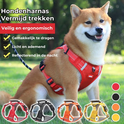 Das bequeme Hundegeschirr