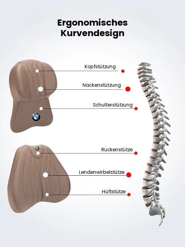 5D Memory-Kopf-Rücken-Set | Halswirbelsäule Schutz 