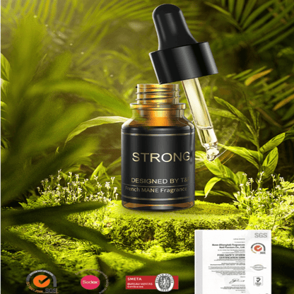 Car Model Car Diffuser