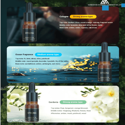 Car Model Car Diffuser